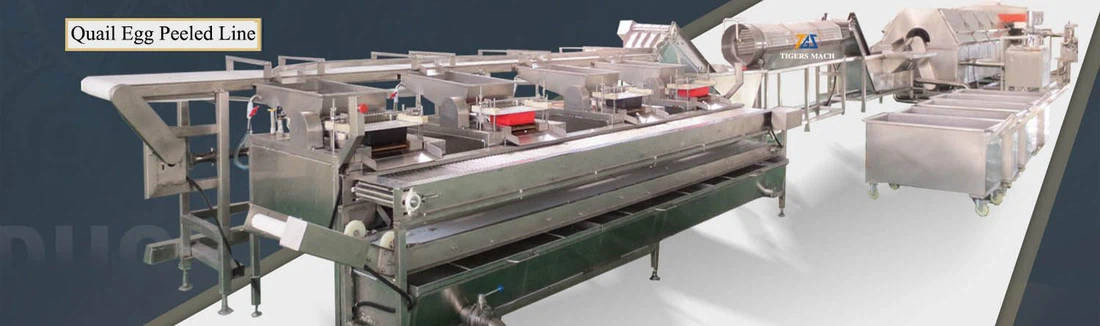 42 quail egg boiling and peeling line from Tigers Machinery001 42 quail egg boiling and peeling line from Tigers Machinery001