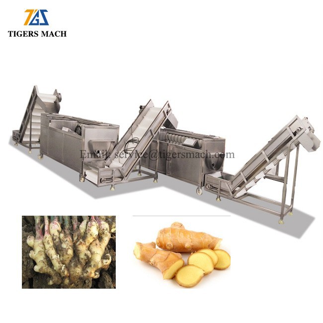 Commercial Ginger cleaning and peeling machine